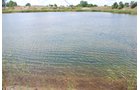 Property photo 59 - Hixon Sand & Gravel Real Estate & Personal Property Auction - 54 Acres offered in 3 Tracts