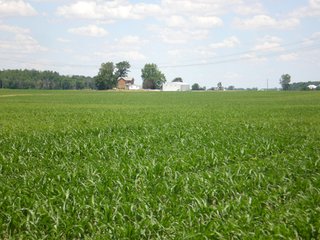 Property photo 3 - 143 Acres offered in 5 Tracts - Real Estate Auction