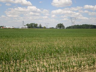 Property photo 29 - 143 Acres offered in 5 Tracts - Real Estate Auction