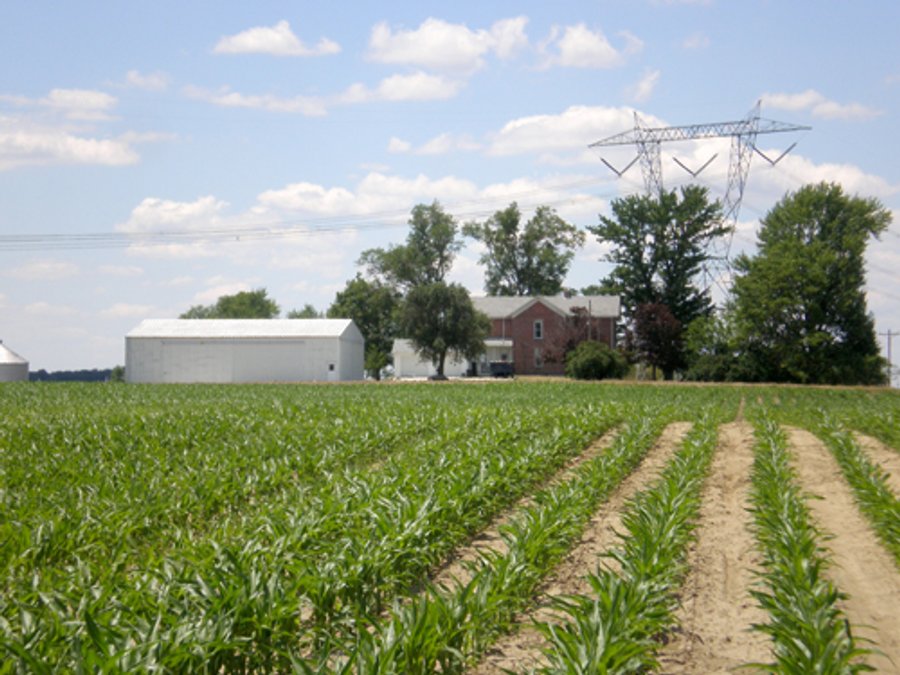 143 Acres offered in 5 Tracts - Real Estate Auction