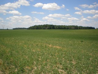 Property photo 22 - 143 Acres offered in 5 Tracts - Real Estate Auction