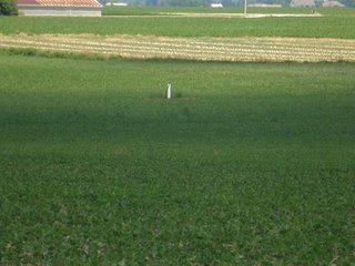 Property photo 7 - 143 Acres offered in 5 Tracts - Real Estate Auction