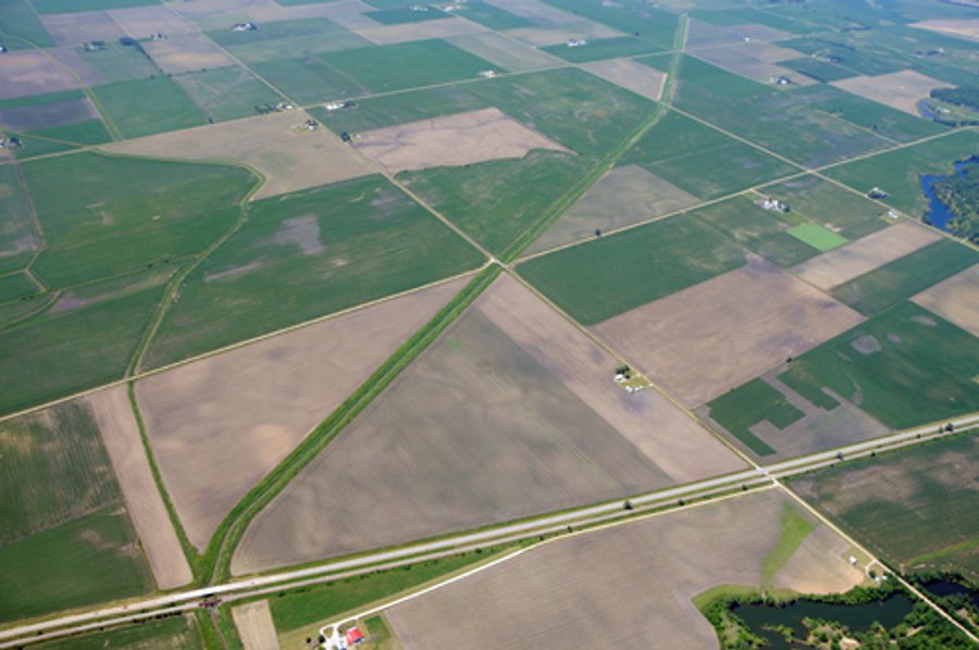 284 +/- Acres Offered in 5 Tracts - Farmland Auction