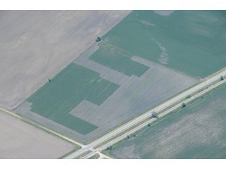 Property photo 13 - 284 +/- Acres Offered in 5 Tracts - Farmland Auction