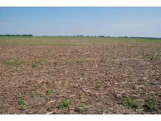 Property photo 9 - 284 +/- Acres Offered in 5 Tracts - Farmland Auction