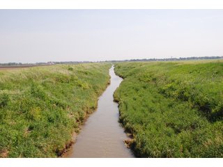 Property photo 7 - 284 +/- Acres Offered in 5 Tracts - Farmland Auction
