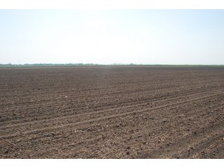 Property photo 4 - 284 +/- Acres Offered in 5 Tracts - Farmland Auction