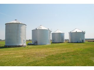 Property photo 5 - 284 +/- Acres Offered in 5 Tracts - Farmland Auction