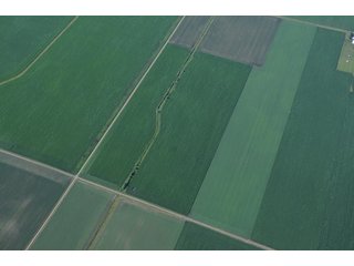 Property photo 36 - 462 +/- Acres Offered in 5 Tracts - Illinois Farmland Auction