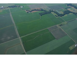 Property photo 35 - 462 +/- Acres Offered in 5 Tracts - Illinois Farmland Auction