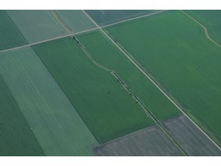 Property photo 50 - 462 +/- Acres Offered in 5 Tracts - Illinois Farmland Auction