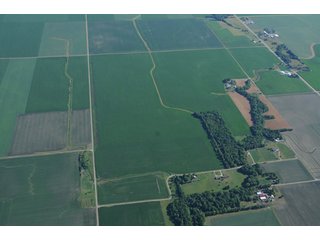 Property photo 38 - 462 +/- Acres Offered in 5 Tracts - Illinois Farmland Auction