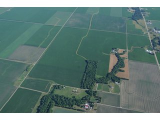 Property photo 14 - 462 +/- Acres Offered in 5 Tracts - Illinois Farmland Auction