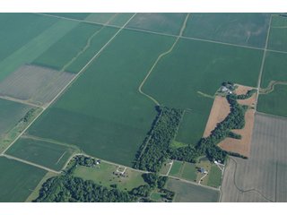 Property photo 28 - 462 +/- Acres Offered in 5 Tracts - Illinois Farmland Auction