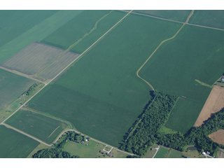 Property photo 39 - 462 +/- Acres Offered in 5 Tracts - Illinois Farmland Auction