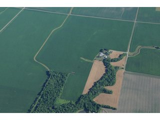 Property photo 44 - 462 +/- Acres Offered in 5 Tracts - Illinois Farmland Auction