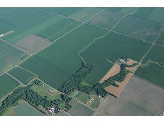 Property photo 18 - 462 +/- Acres Offered in 5 Tracts - Illinois Farmland Auction