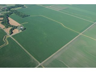 Property photo 16 - 462 +/- Acres Offered in 5 Tracts - Illinois Farmland Auction