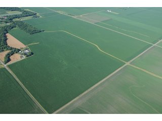 Property photo 26 - 462 +/- Acres Offered in 5 Tracts - Illinois Farmland Auction