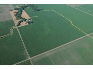 Property photo 8 - 462 +/- Acres Offered in 5 Tracts - Illinois Farmland Auction