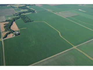 Property photo 21 - 462 +/- Acres Offered in 5 Tracts - Illinois Farmland Auction