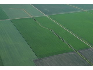 Property photo 24 - 462 +/- Acres Offered in 5 Tracts - Illinois Farmland Auction