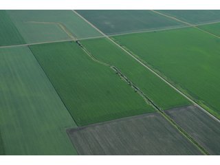 Property photo 20 - 462 +/- Acres Offered in 5 Tracts - Illinois Farmland Auction