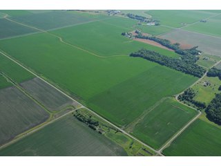 Property photo 1 - 462 +/- Acres Offered in 5 Tracts - Illinois Farmland Auction