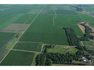 Property photo 32 - 462 +/- Acres Offered in 5 Tracts - Illinois Farmland Auction