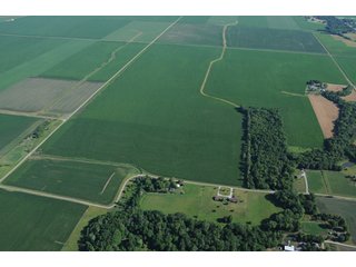 Property photo 3 - 462 +/- Acres Offered in 5 Tracts - Illinois Farmland Auction