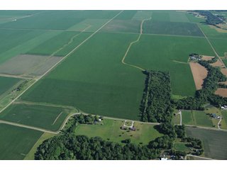 Property photo 30 - 462 +/- Acres Offered in 5 Tracts - Illinois Farmland Auction