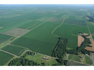 Property photo 10 - 462 +/- Acres Offered in 5 Tracts - Illinois Farmland Auction