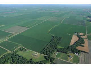 Property photo 45 - 462 +/- Acres Offered in 5 Tracts - Illinois Farmland Auction