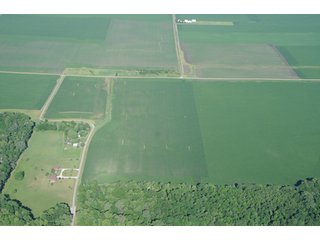 Property photo 13 - 462 +/- Acres Offered in 5 Tracts - Illinois Farmland Auction