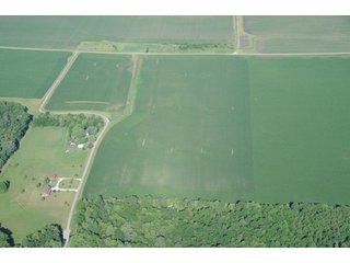Property photo 5 - 462 +/- Acres Offered in 5 Tracts - Illinois Farmland Auction