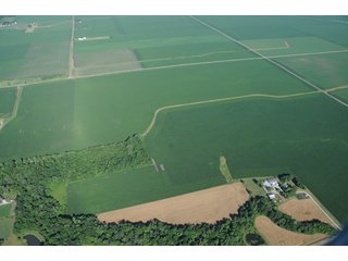 Property photo 12 - 462 +/- Acres Offered in 5 Tracts - Illinois Farmland Auction