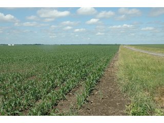 Property photo 2 - 462 +/- Acres Offered in 5 Tracts - Illinois Farmland Auction