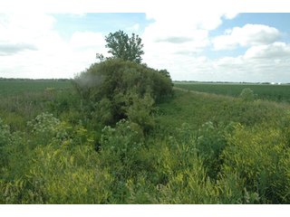 Property photo 4 - 462 +/- Acres Offered in 5 Tracts - Illinois Farmland Auction