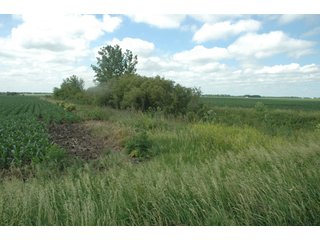 Property photo 47 - 462 +/- Acres Offered in 5 Tracts - Illinois Farmland Auction