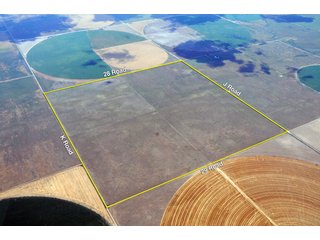 Tract 16 - CRP Income until 2020 - 8,153 Acre Land Auction Offered in 20 Tracts