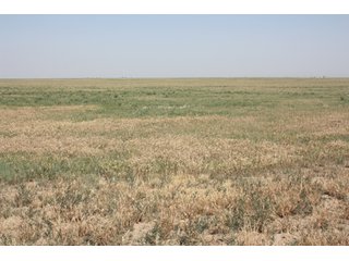 Tract 2 - 8,153 Acre Land Auction Offered in 20 Tracts