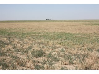 Tract 2 - 8,153 Acre Land Auction Offered in 20 Tracts