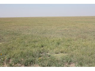 Tract 1 - 8,153 Acre Land Auction Offered in 20 Tracts