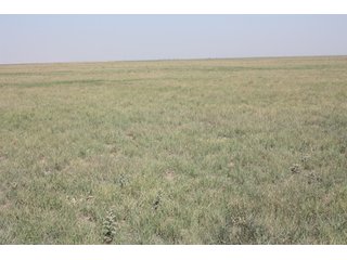Tract 1 - 8,153 Acre Land Auction Offered in 20 Tracts