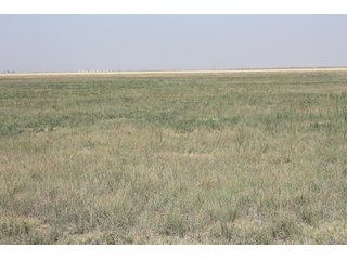 Tract 3 - 8,153 Acre Land Auction Offered in 20 Tracts