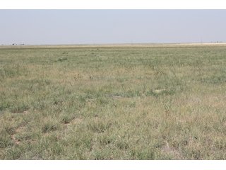 Tract 3 - 8,153 Acre Land Auction Offered in 20 Tracts