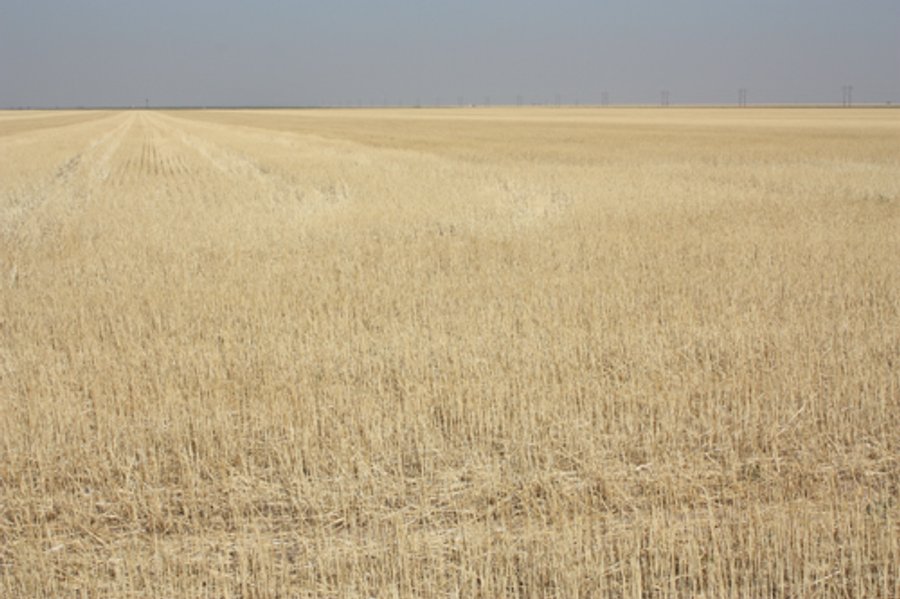8,153 Acre Land Auction Offered in 20 Tracts
