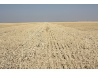 Tract 5 - 8,153 Acre Land Auction Offered in 20 Tracts