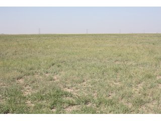 Tract 4 - 8,153 Acre Land Auction Offered in 20 Tracts