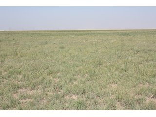 Tract 4 - 8,153 Acre Land Auction Offered in 20 Tracts